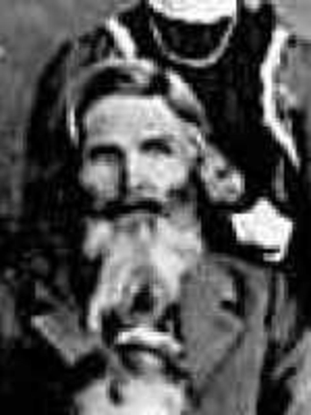 Solomon Ammon Woodland (1838 - 1910) Profile